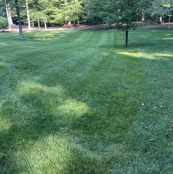 A1 LAND MANAGEMENT Lawn care + snow removal